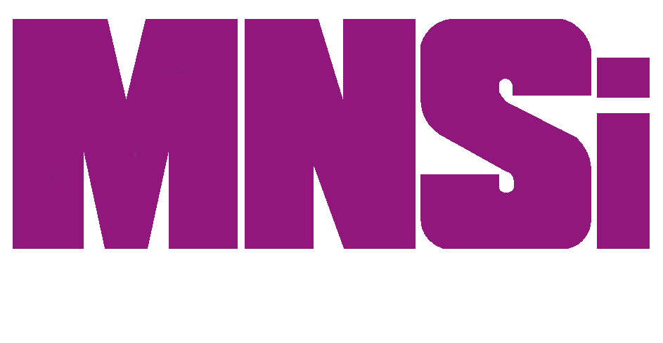 MSI Logo